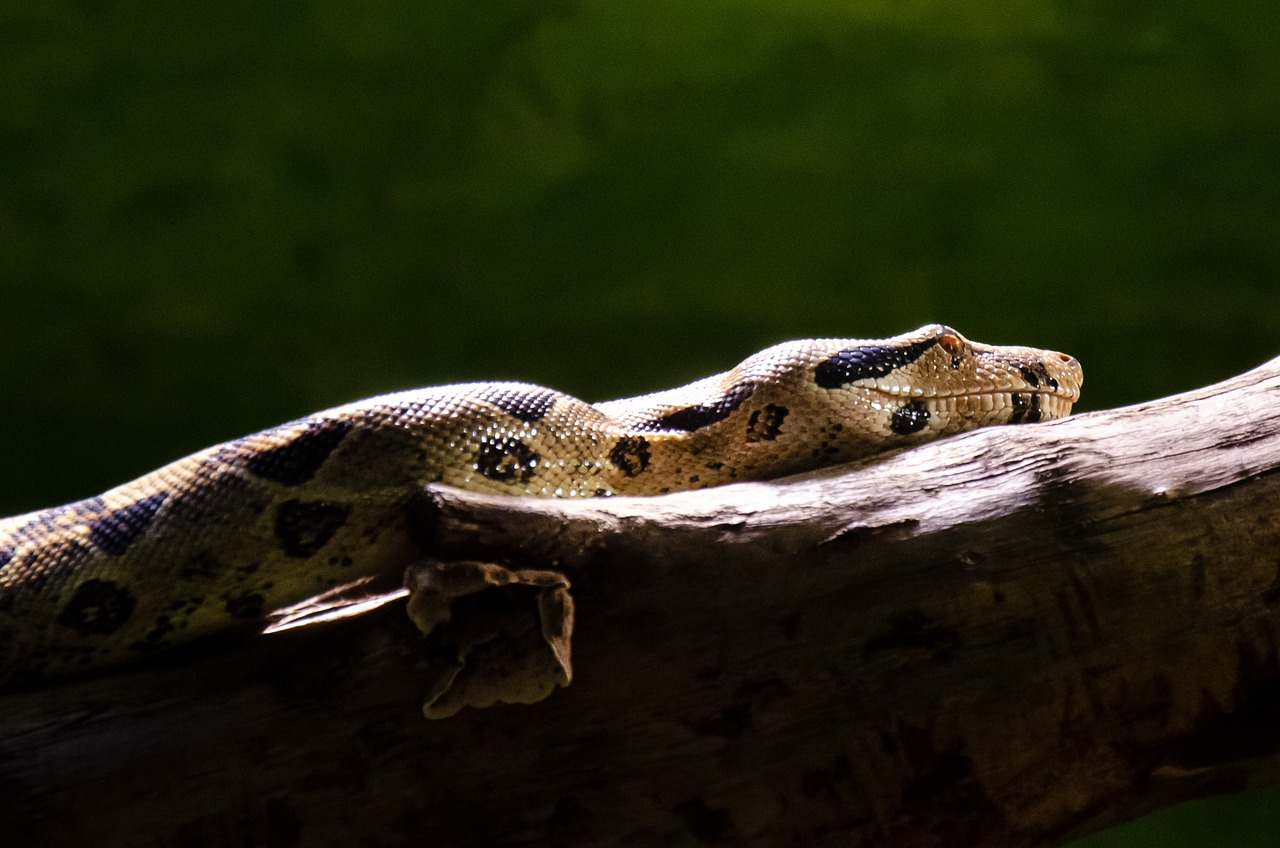 진짜로 가봤어요, 멜론뮤직어워드 2023!