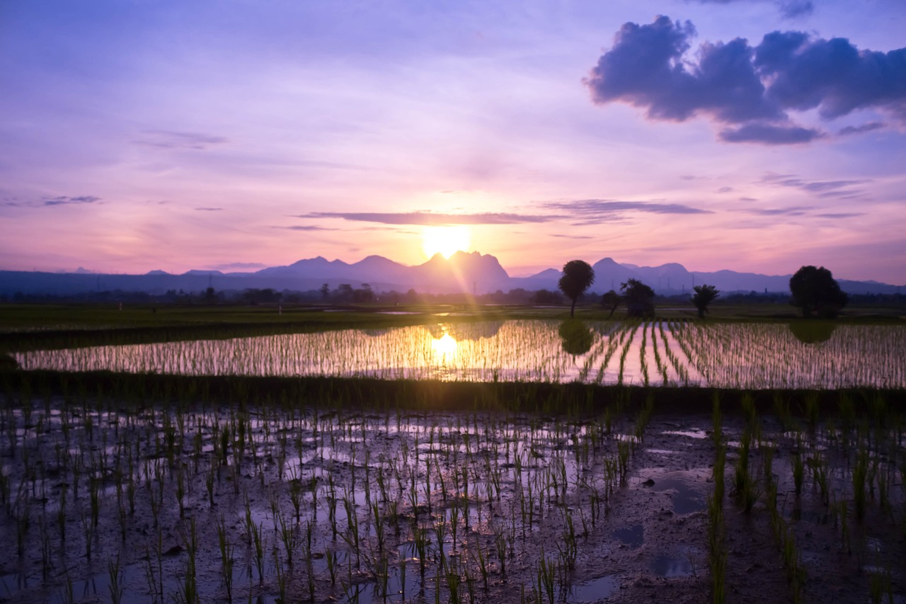소득없음 사실증명원 발급 방법을 올바르게 알고 활용하기