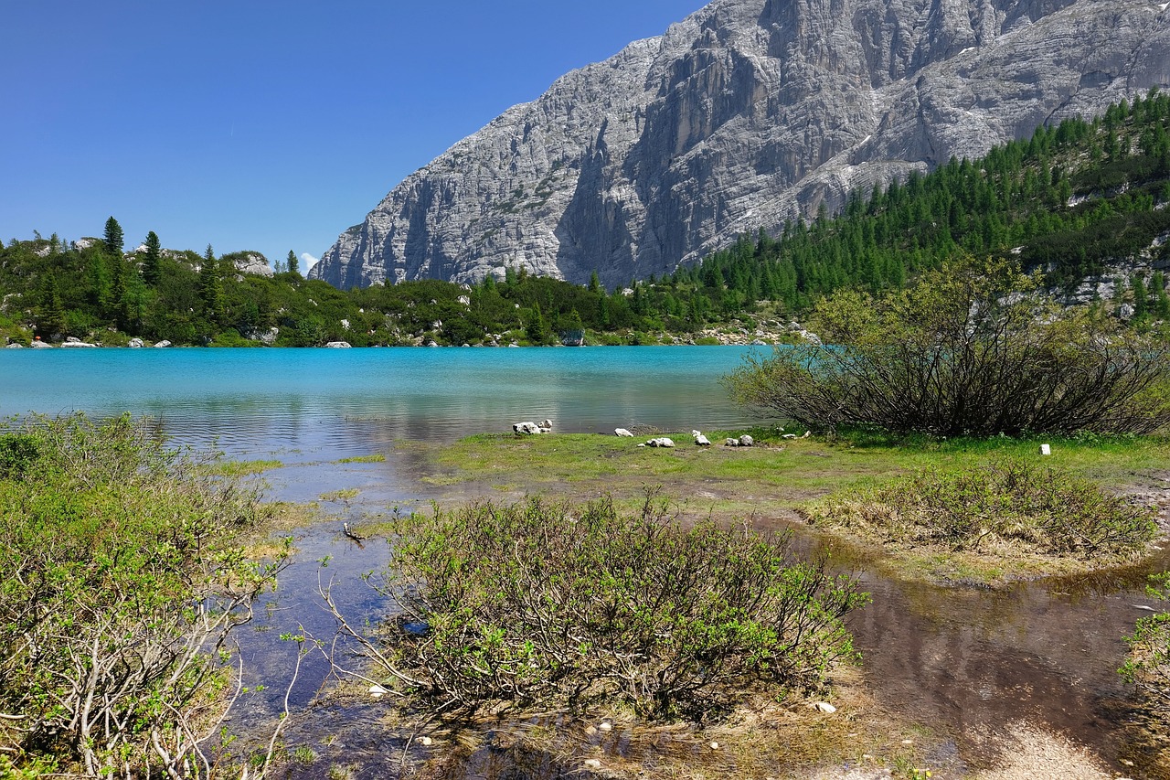 세르의 애니공간: 감동이 흐르는 애니메이션 세계를 경험하세요!