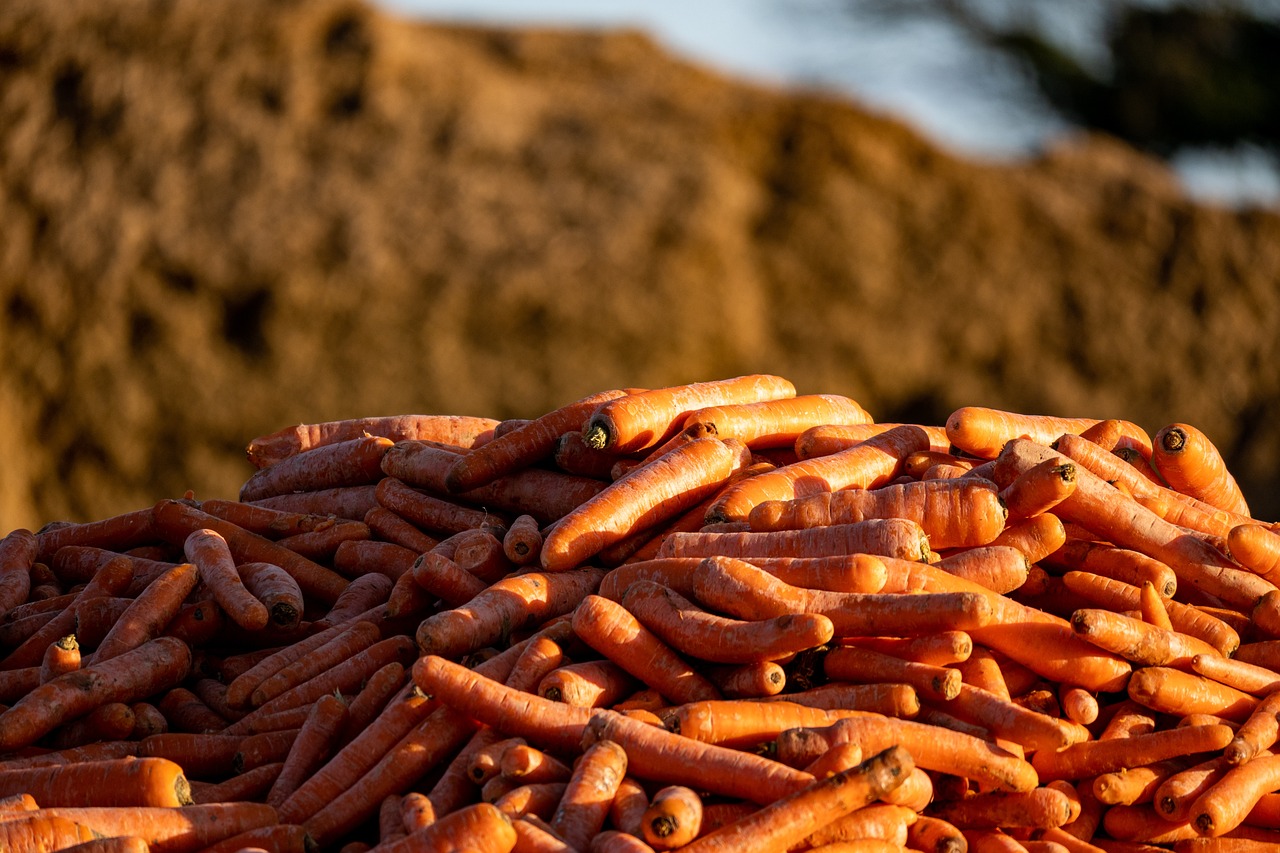 원천 세율 총정리: 모든 소득 종류의 원천 세율을 파헤쳐 보아요!