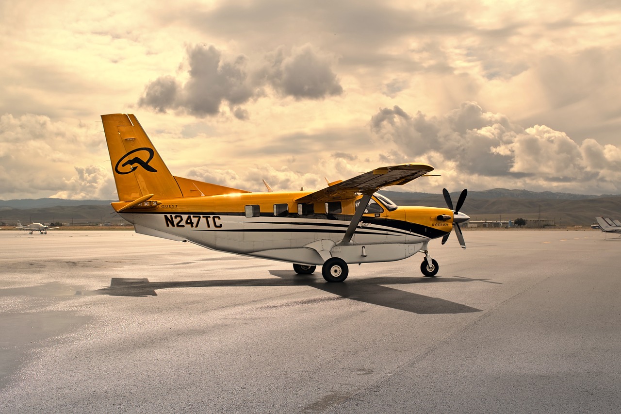 저니 오브 모나크, 리니지의 새로운 여정을 함께해요!