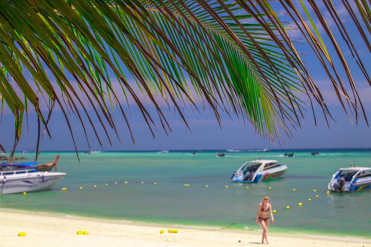 연말정산에서 보장성 보험료 세액공제로 세금 절약하는 스마트한 방법