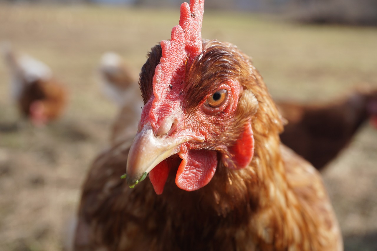 함께 나누는 소중한 순간들, 공유 일기