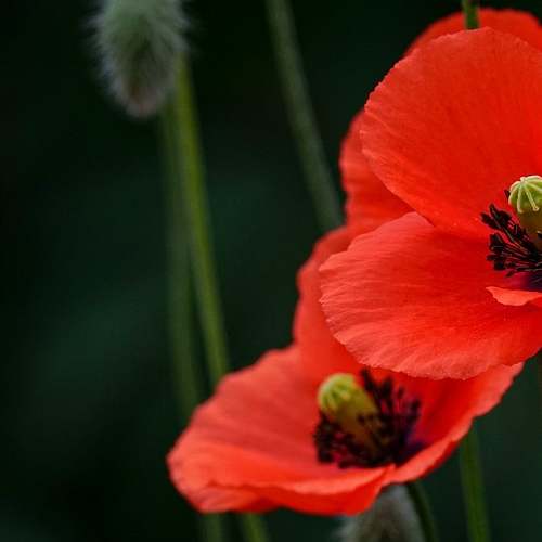 사랑의 온도를 느끼며, 석파정 서울미술관 ‘연애의 온도 두 번째 이야기’ 전시 관람 후기