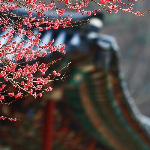 어도비 애프터이펙트 2024, 어떻게 무료로 다운로드 받을 수 있을까요?