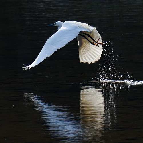 2025년 연말정산의 비밀 알아보기: 절세를 위한 완벽 가이드