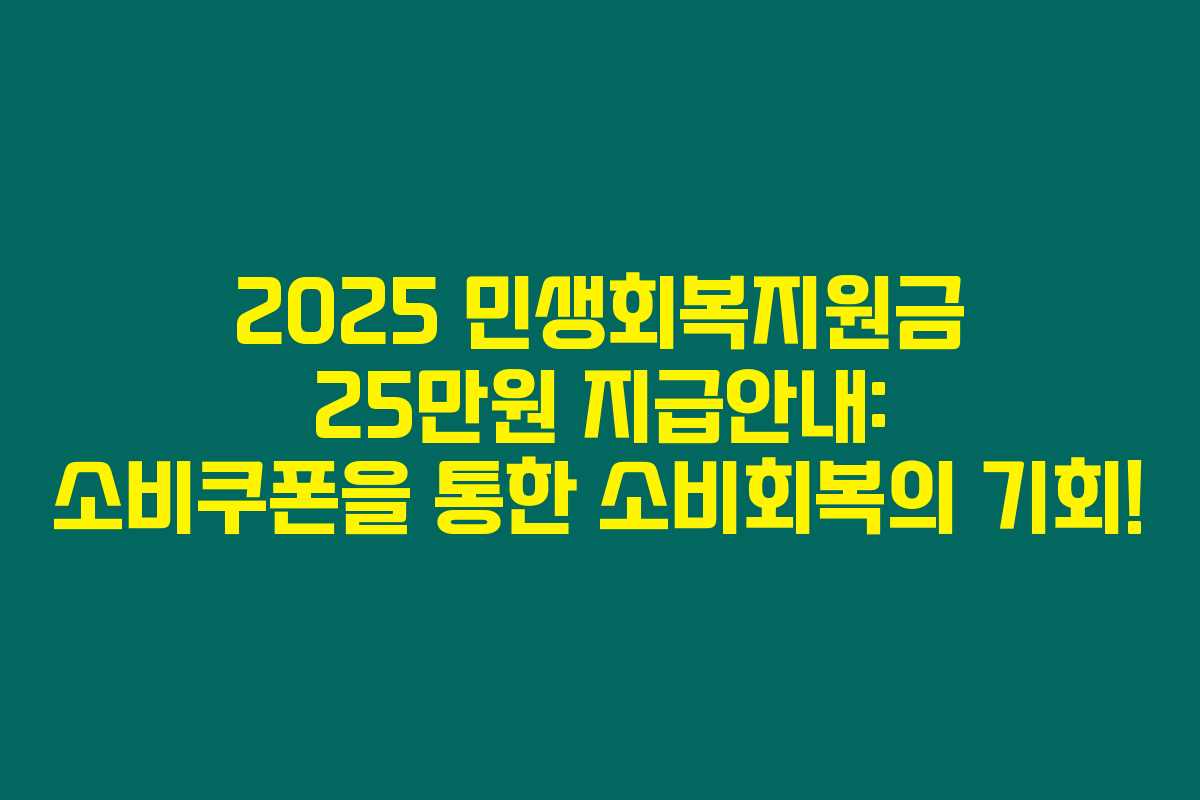 2025 민생회복지원금 25만원 지급안내: 소비쿠폰을 통한 소비회복의 기회!