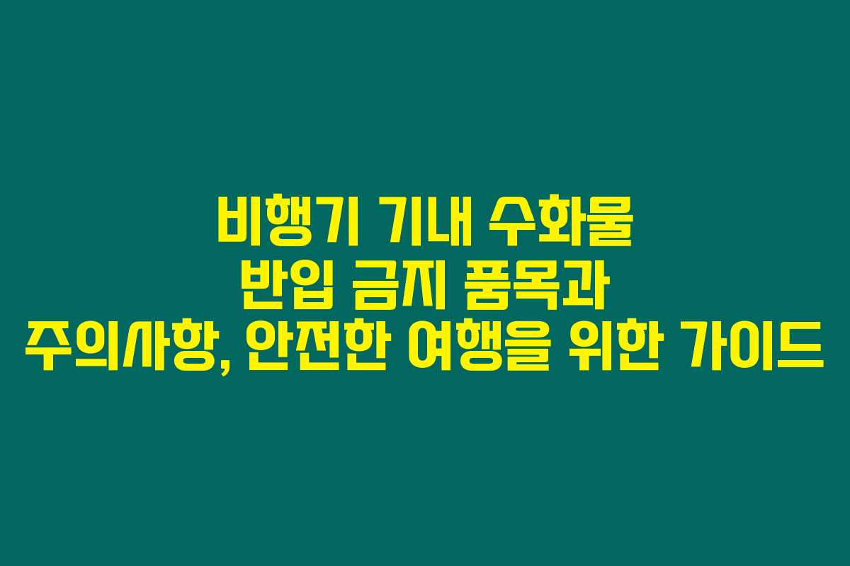비행기 기내 수화물 반입 금지 품목과 주의사항, 안전한 여행을 위한 가이드