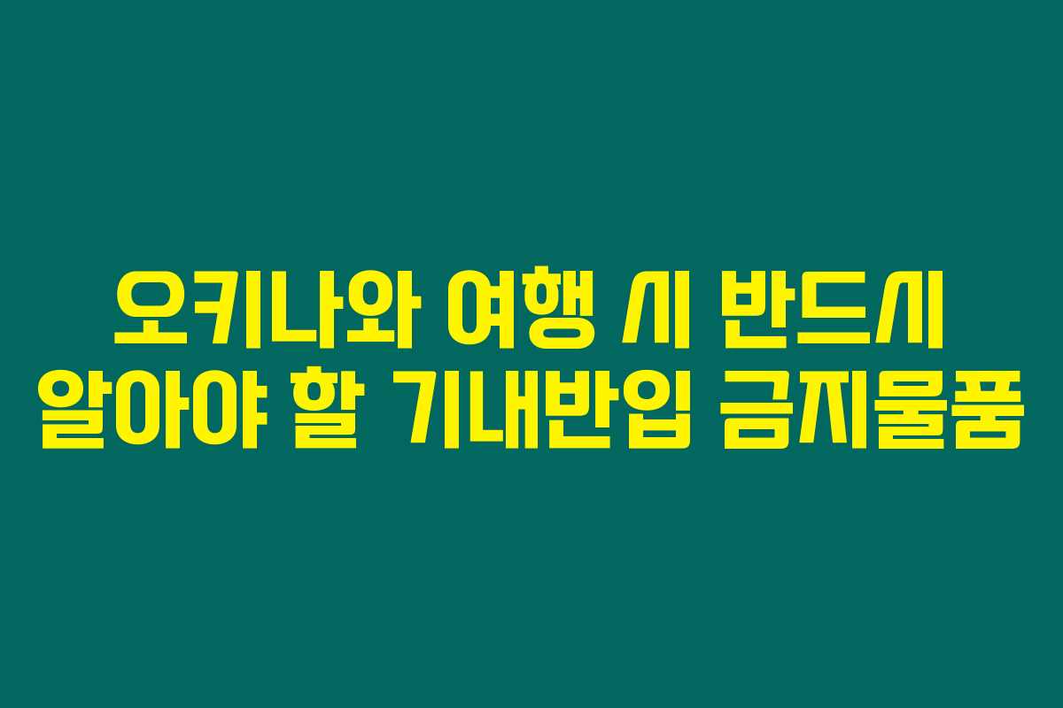 오키나와 여행 시 반드시 알아야 할 기내반입 금지물품