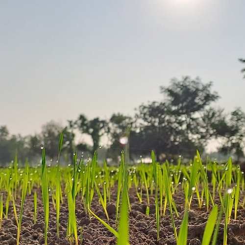 누수 감면 신청 방법으로 경제적 손실을 줄이는 최선의 길