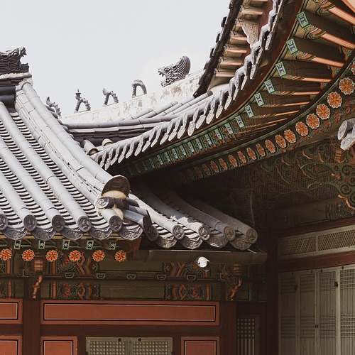 아이들의 미래를 여는 키 성장 영양제, 성분과 효과 공개합니다!