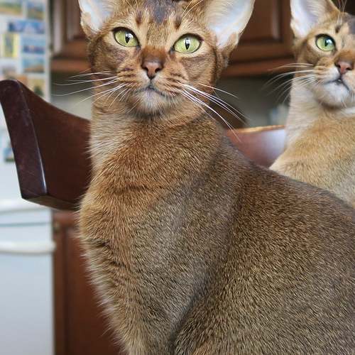 2024 첫만남이용권으로 육아비용 걱정 없애기: 사용처와 사용법 자세히 알아보세요