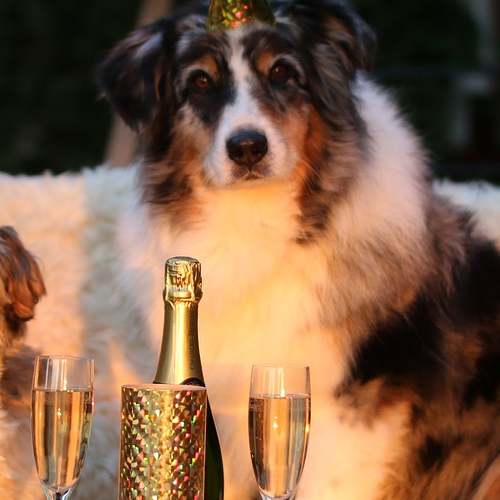 2025년 요양보호사 자격증, 국비지원에서 취업까지의 모든 과정 완벽 가이드