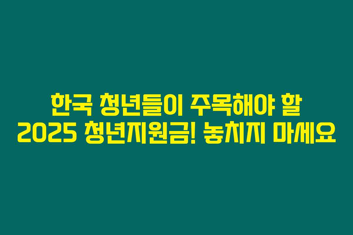 한국 청년들이 주목해야 할 2025 청년지원금! 놓치지 마세요