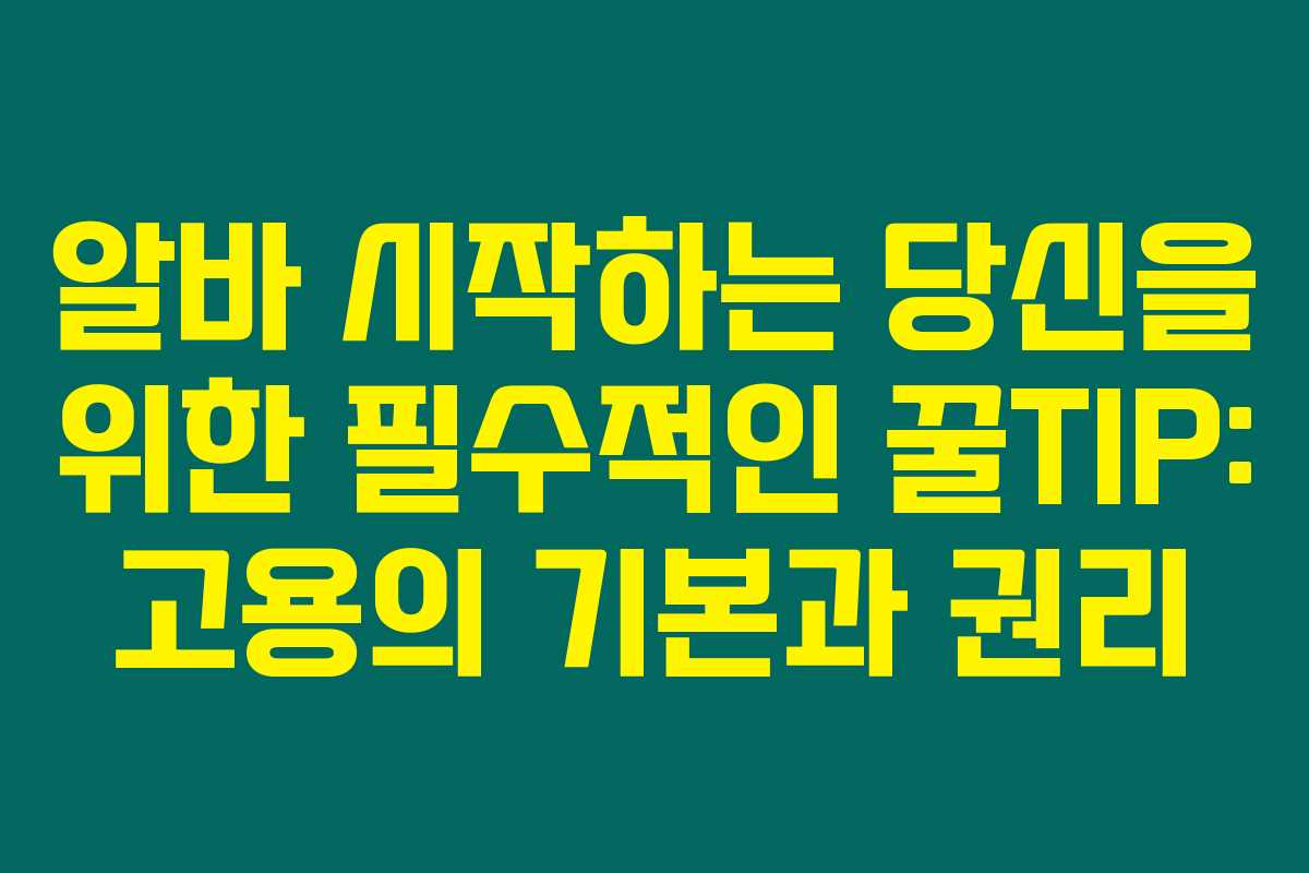 알바 시작하는 당신을 위한 필수적인 꿀TIP: 고용의 기본과 권리