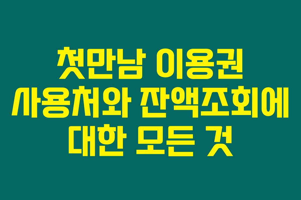 첫만남 이용권 사용처와 잔액조회에 대한 모든 것