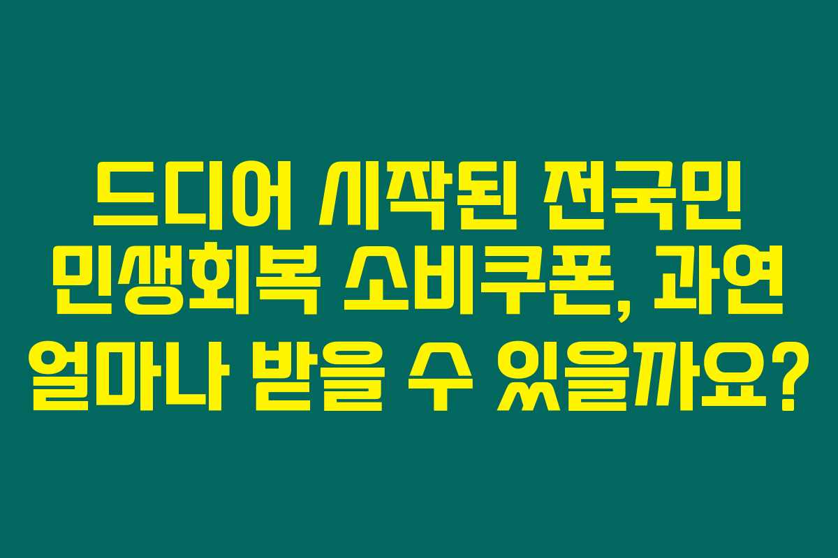 드디어 시작된 전국민 민생회복 소비쿠폰, 과연 얼마나 받을 수 있을까요?