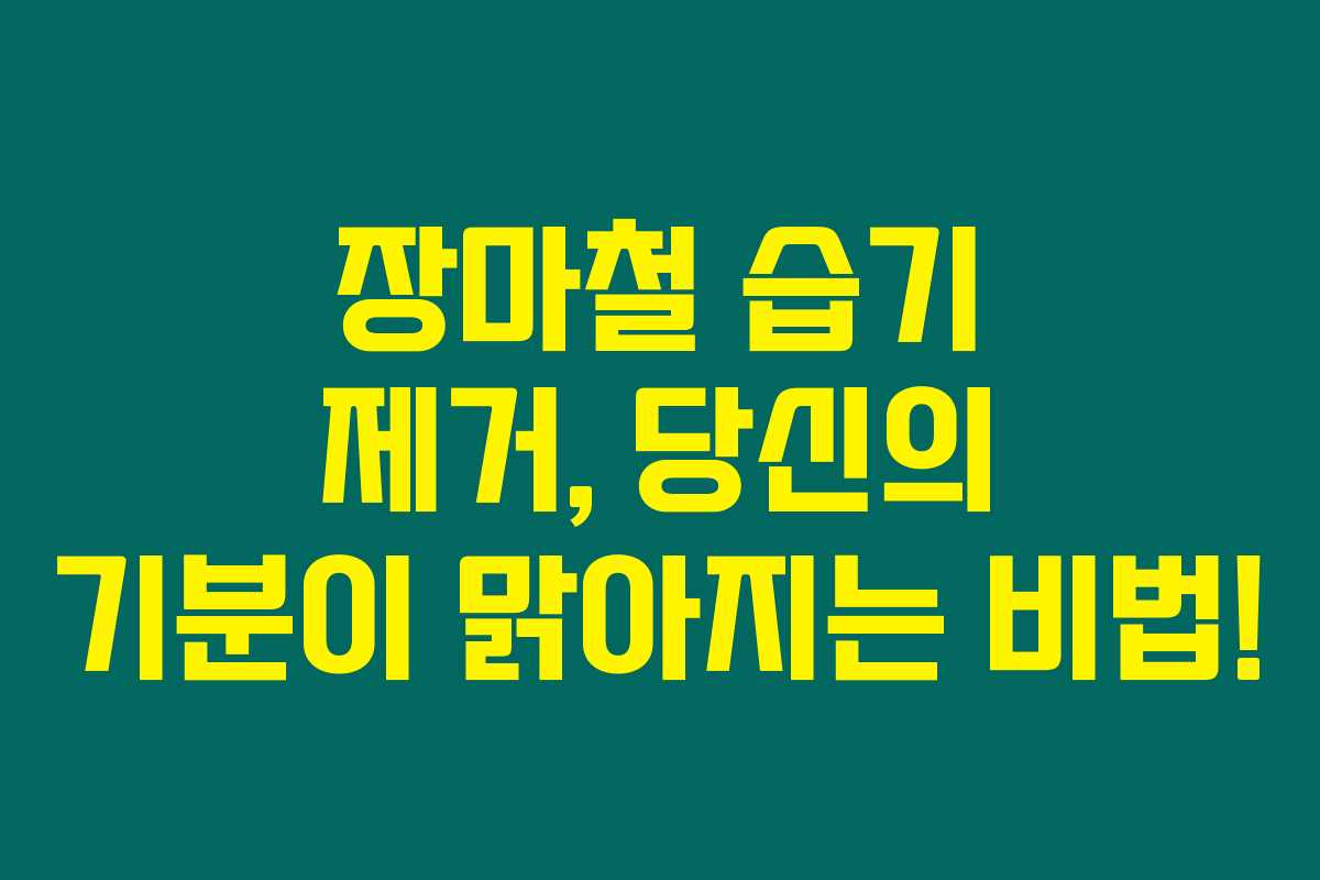 장마철 습기 제거, 당신의 기분이 맑아지는 비법!