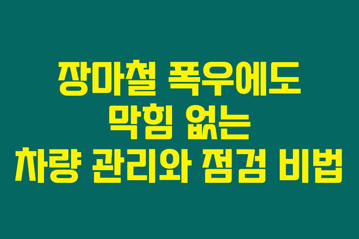 장마철 폭우에도 막힘 없는 차량 관리와 점검 비법