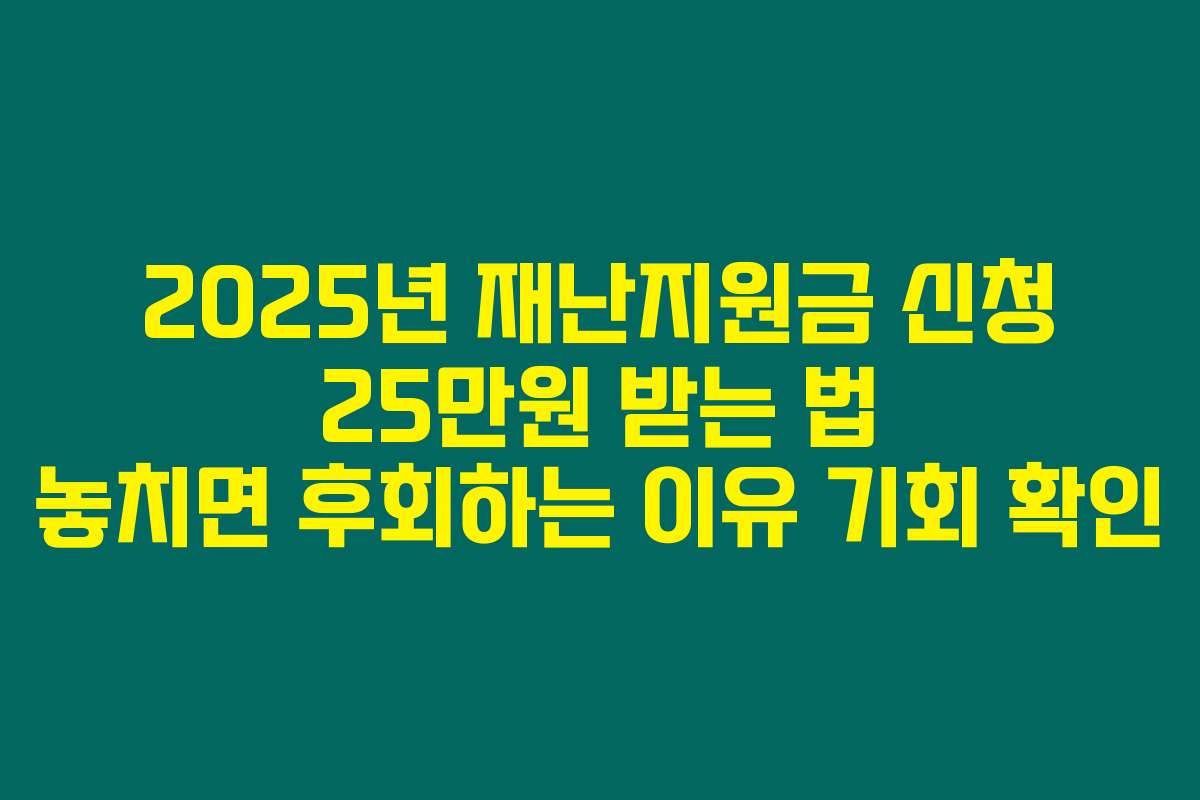 2025년 재난지원금 신청 25만원 받는 법 놓치면 후회하는 이유 기회 확인