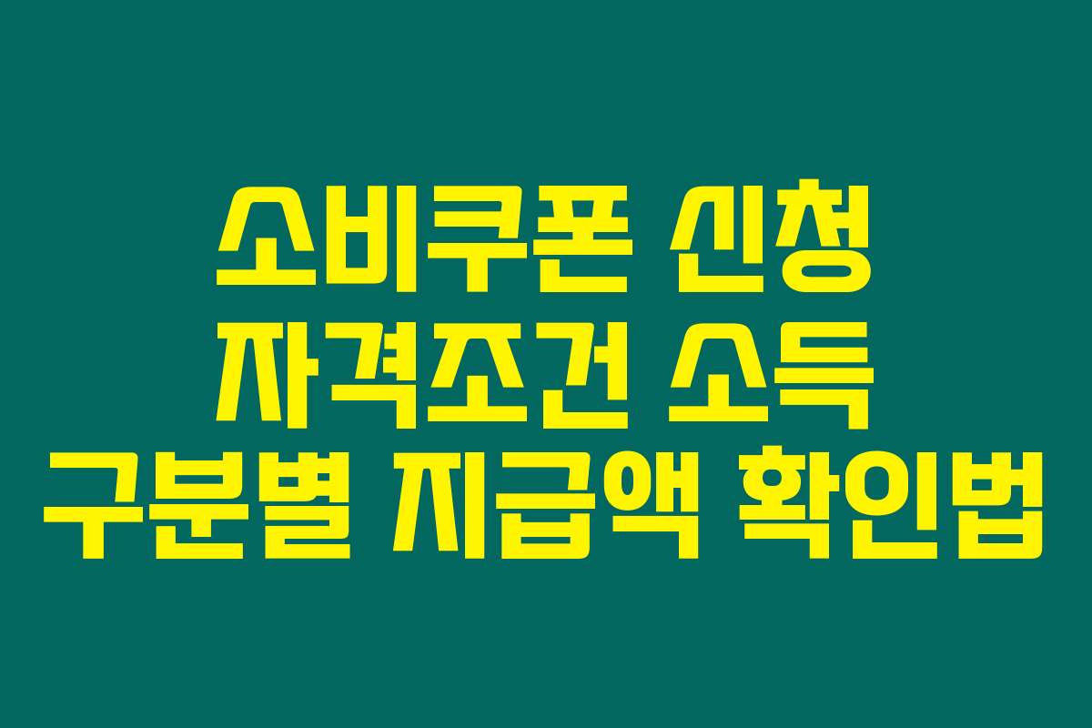소비쿠폰 신청 자격조건 소득 구분별 지급액 확인법