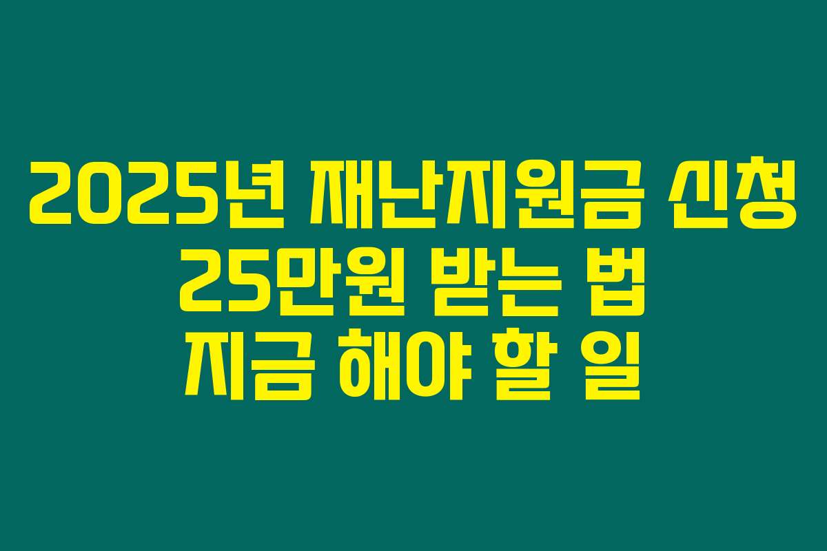 2025년 재난지원금 신청 25만원 받는 법 지금 해야 할 일
