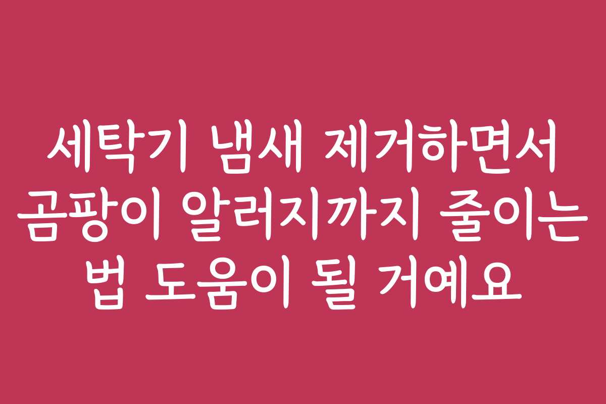 세탁기 냄새 제거하면서 곰팡이 알러지까지 줄이는 법 도움이 될 거예요