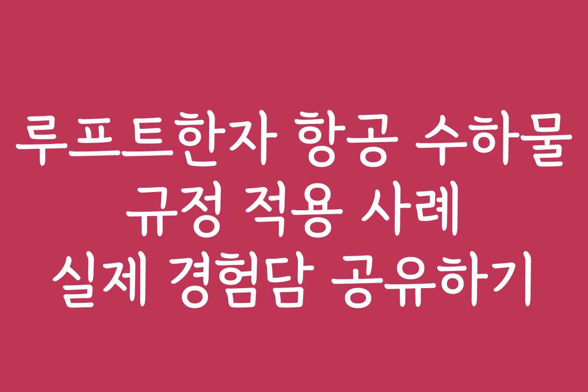 루프트한자 항공 수하물 규정 적용 사례 실제 경험담 공유하기