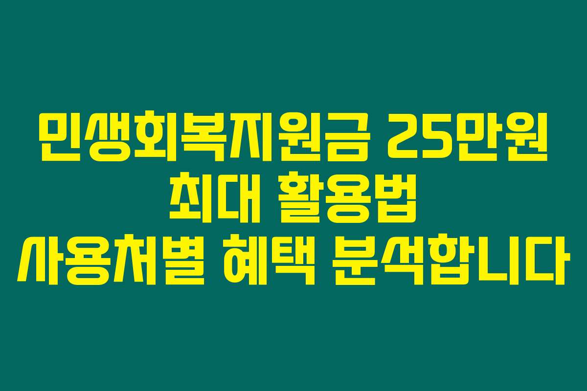 민생회복지원금 25만원 최대 활용법 사용처별 혜택 분석합니다