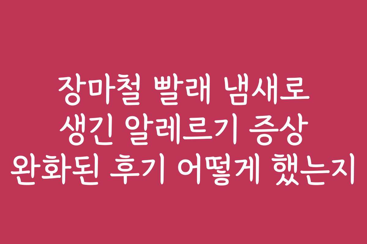 장마철 빨래 냄새로 생긴 알레르기 증상 완화된 후기 어떻게 했는지