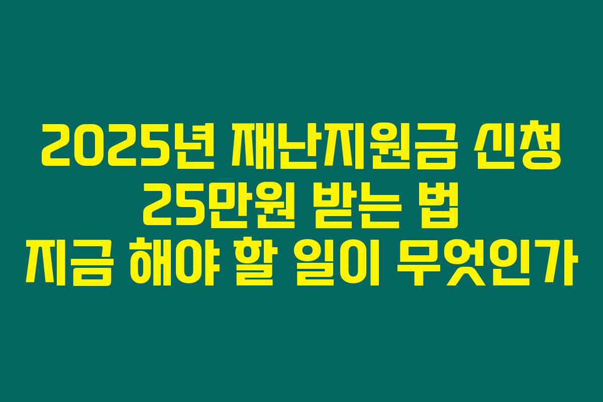 2025년 재난지원금 신청 25만원 받는 법 지금 해야 할 일이 무엇인가