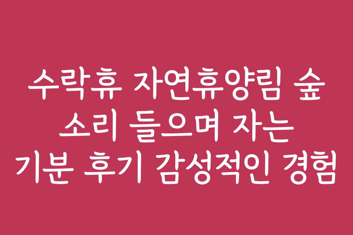 수락휴 자연휴양림 숲 소리 들으며 자는 기분 후기 감성적인 경험 수락휴 자연휴양림 숲 소리 들으며 자는 기분 후기 감성적인 경험