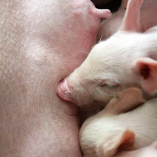 내일배움카드: 당신의 직무 능력을 한층 높이는 길잡이!