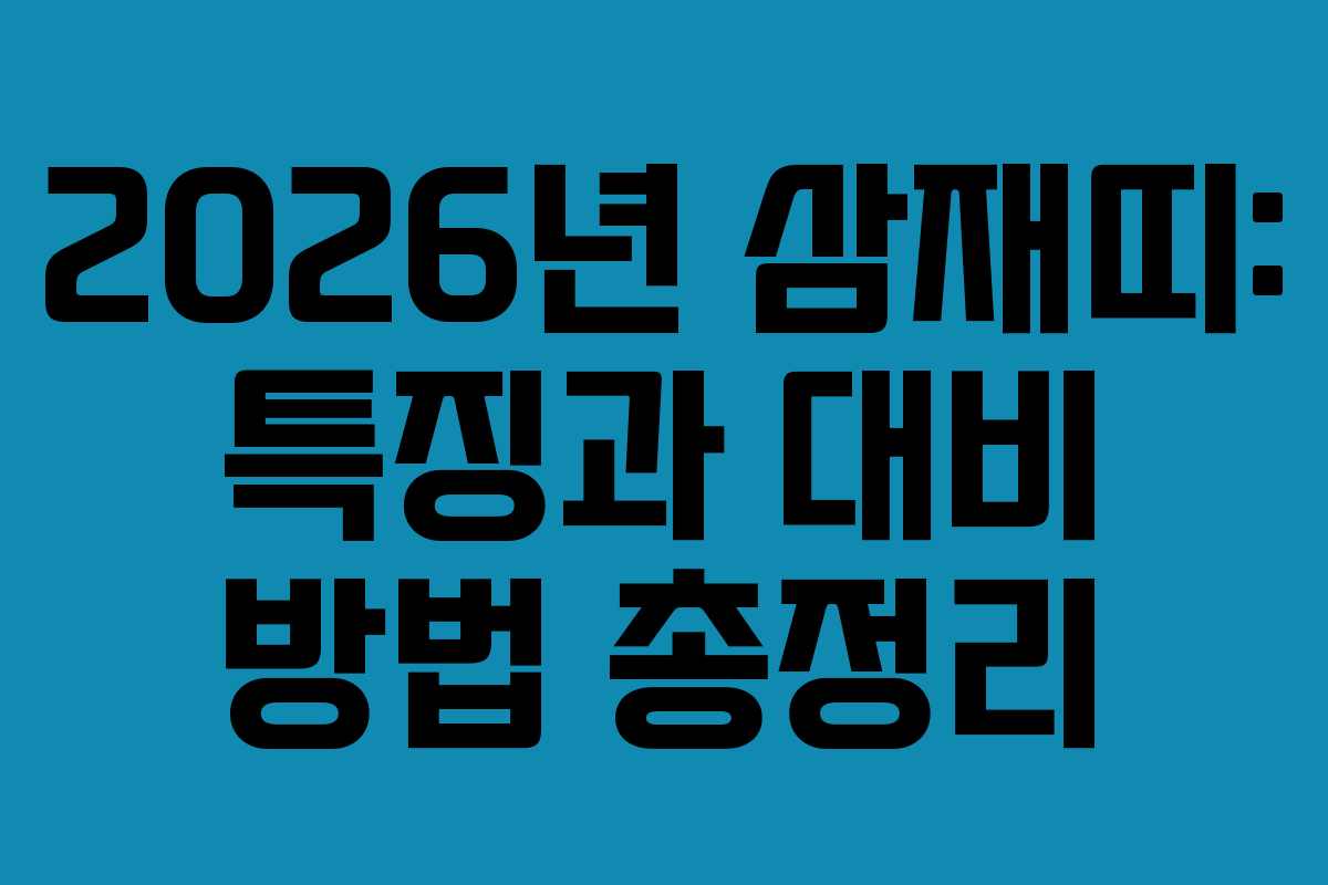 2026년 삼재띠: 특징과 대비 방법 총정리