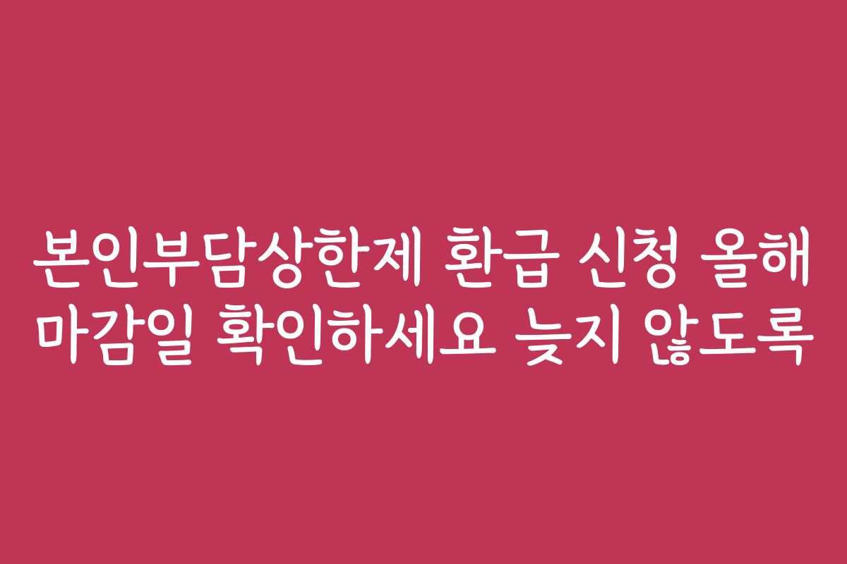 본인부담상한제 환급 신청 올해 마감일 확인하세요 늦지 않도록