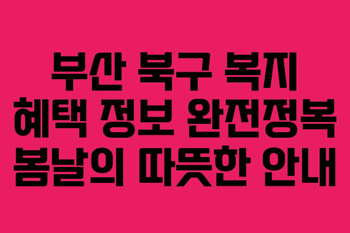 부산 북구 복지 혜택 정보 완전정복 봄날의 따뜻한 안내