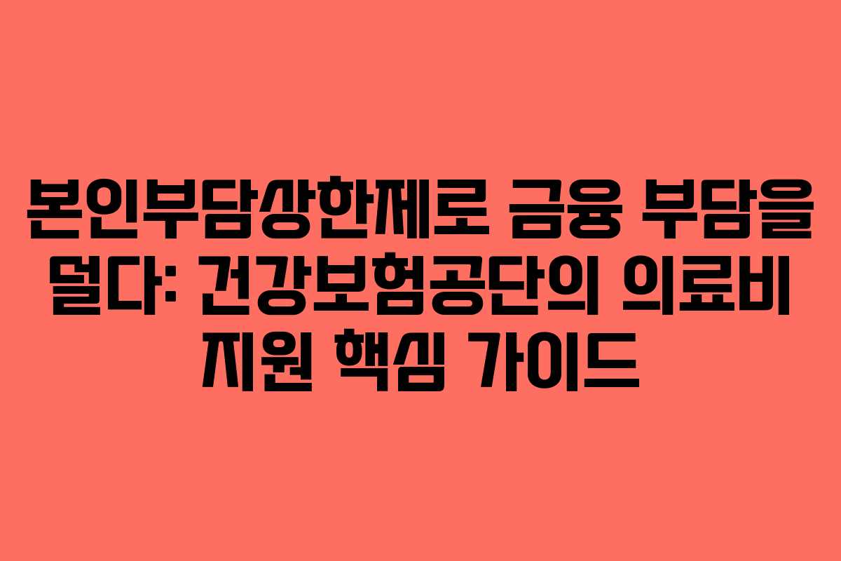 본인부담상한제로 금융 부담을 덜다: 건강보험공단의 의료비 지원 핵심 가이드