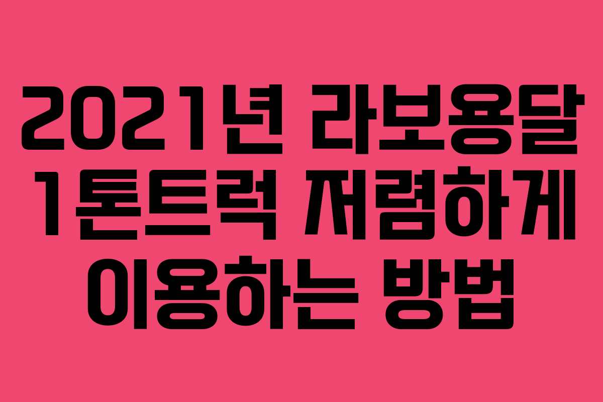 2021년 라보용달 1톤트럭 저렴하게 이용하는 방법