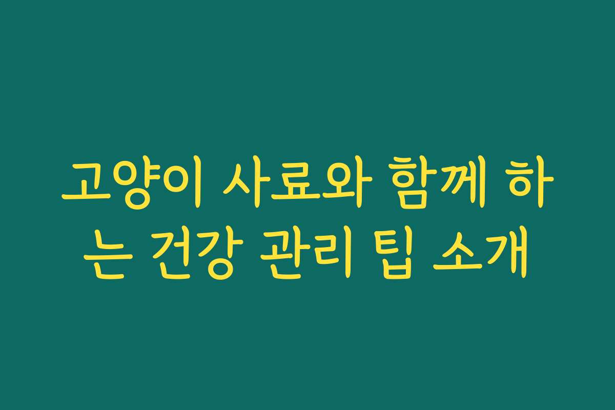 고양이 사료와 함께 하는 건강 관리 팁 소개