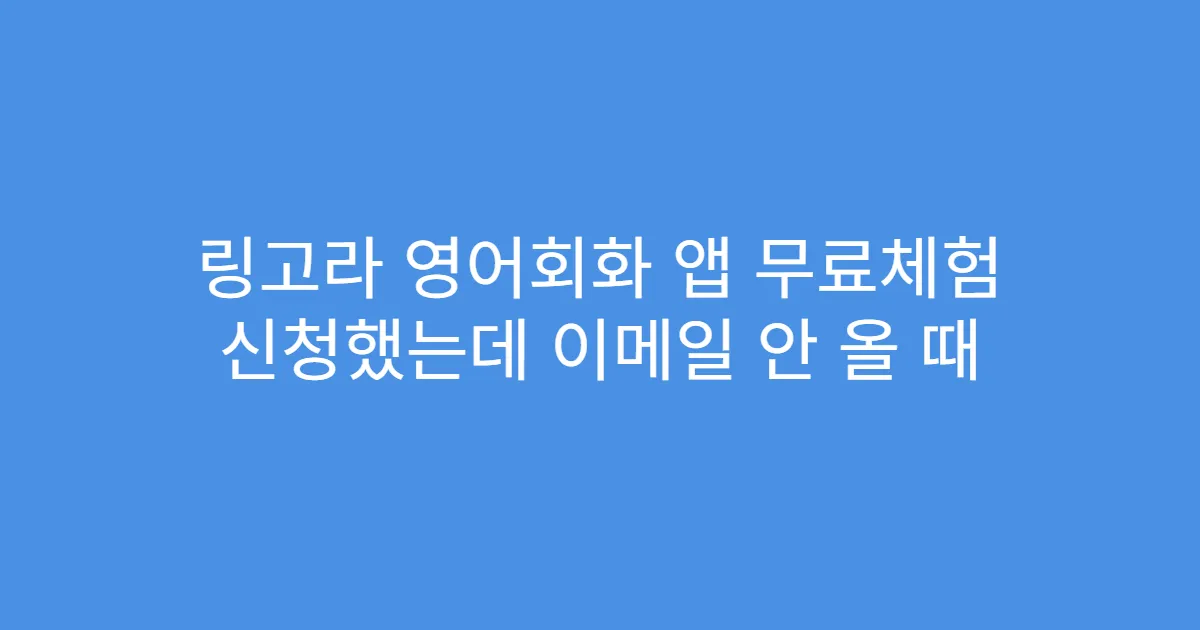 링고라 영어회화 앱 무료체험 신청했는데 이메일 안 올 때