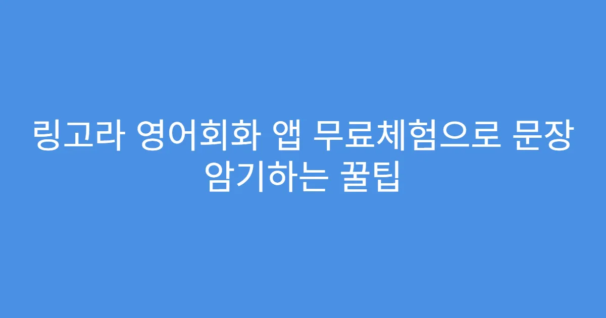 링고라 영어회화 앱 무료체험으로 문장 암기하는 꿀팁