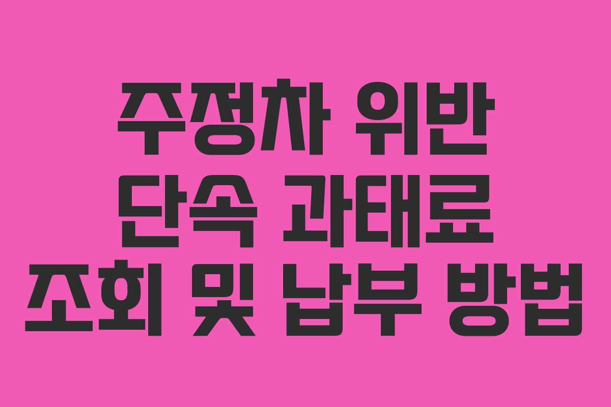 주정차 위반 단속 과태료 조회 및 납부 방법