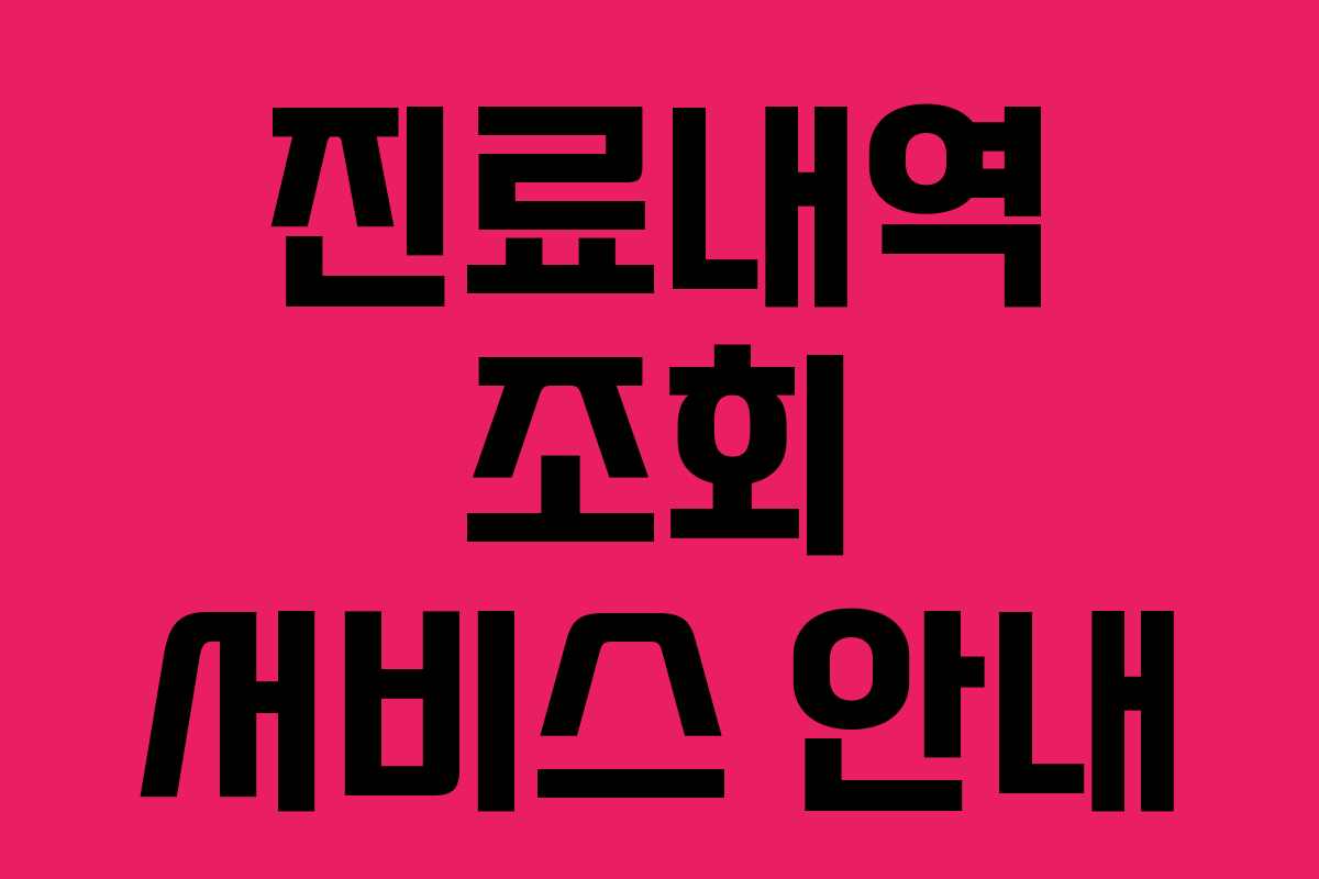 진료내역 조회 서비스 안내
