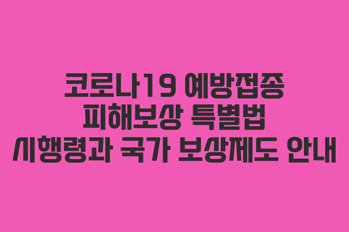 코로나19 예방접종 피해보상 특별법 시행령과 국가 보상제도 안내 코로나19 예방접종 피해보상 특별법 시행령과 국가 보상제도 안내