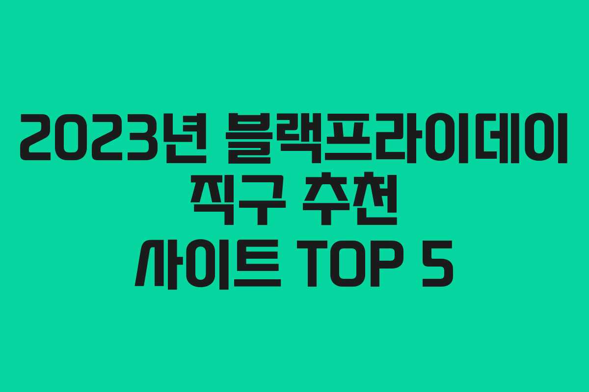 2023년 블랙프라이데이 직구 추천 사이트 TOP 5 2023년 블랙프라이데이 직구 추천 사이트 TOP 5