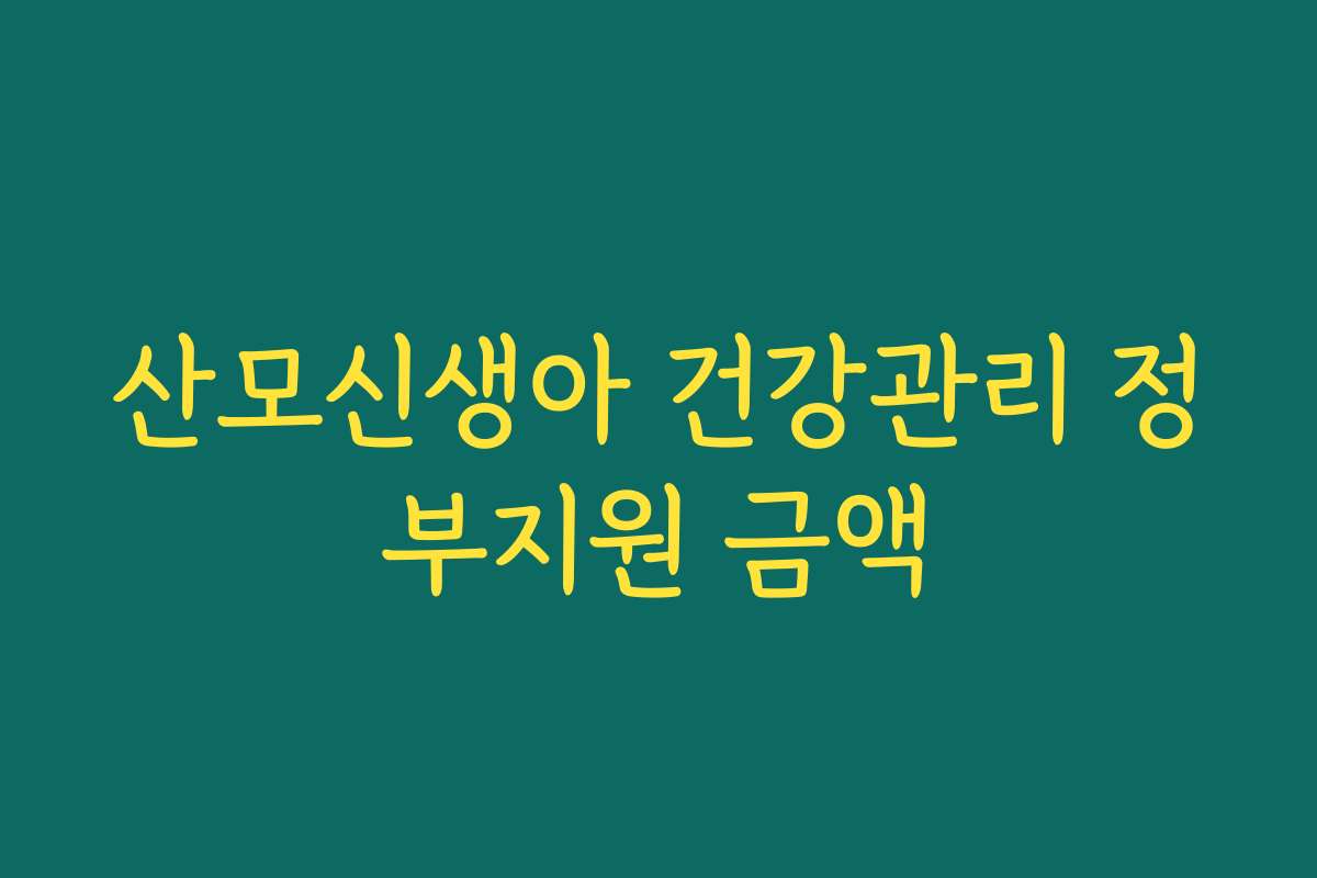 산모신생아 건강관리 정부지원 금액 산모신생아 건강관리 정부지원 금액