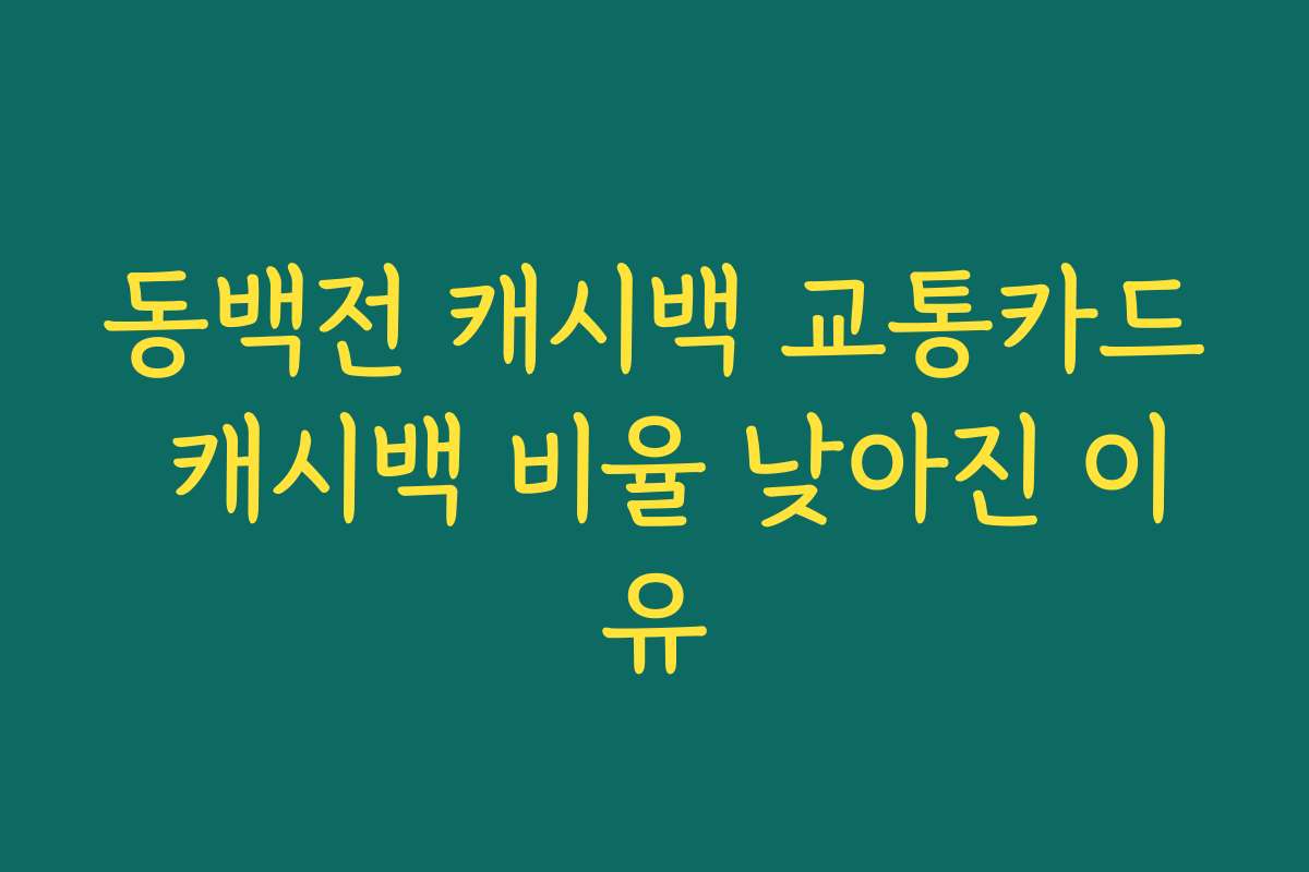 동백전 캐시백 교통카드 캐시백 비율 낮아진 이유 동백전 캐시백 교통카드 캐시백 비율 낮아진 이유