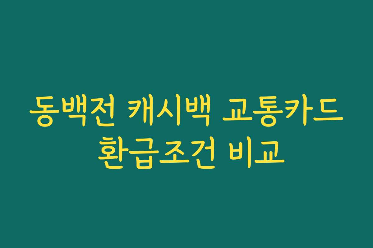 동백전 캐시백 교통카드 환급조건 비교 동백전 캐시백 교통카드 환급조건 비교