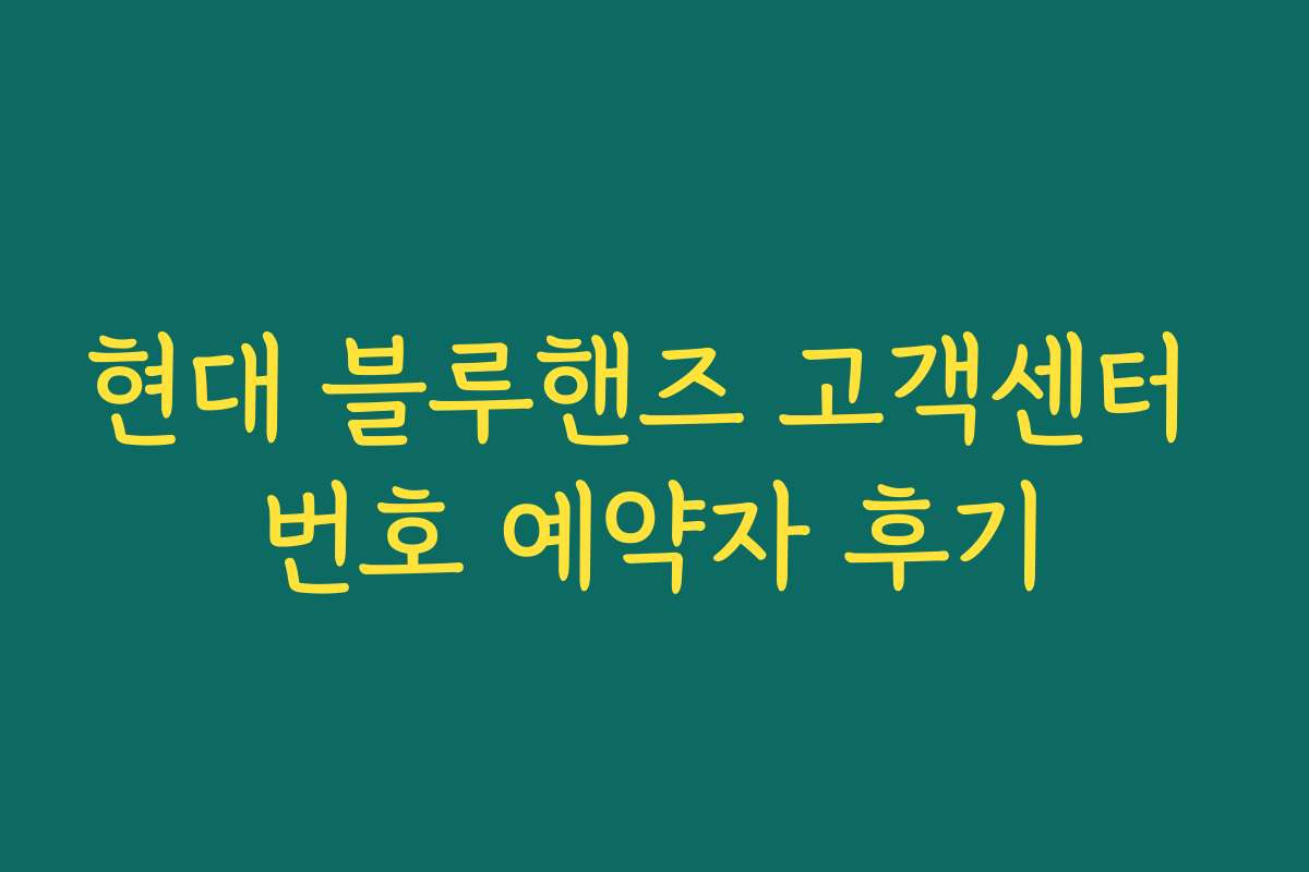 현대 블루핸즈 고객센터 번호 예약자 후기 현대 블루핸즈 고객센터 번호 예약자 후기