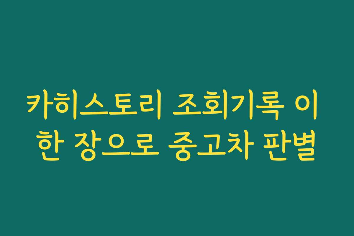 카히스토리 조회기록 이 한 장으로 중고차 판별 카히스토리 조회기록 이 한 장으로 중고차 판별